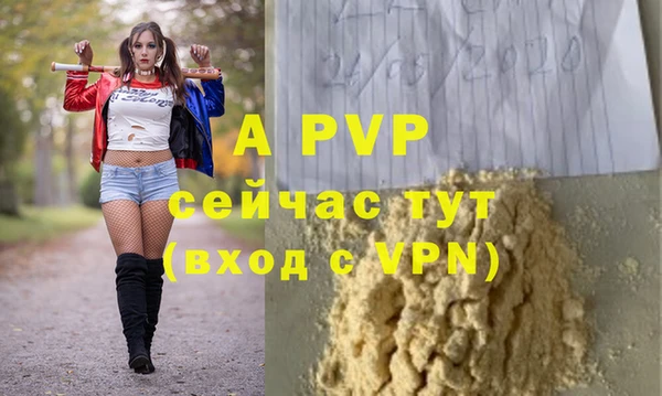 ALPHA PVP Строитель